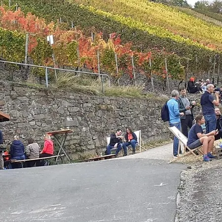 Krieger Διαμέρισμα Bad Neuenahr-Ahrweiler