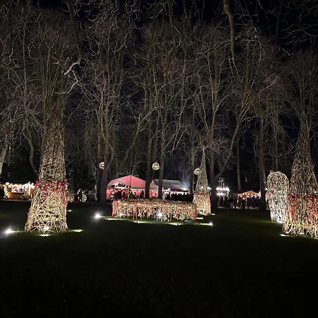 Krieger Bad Neuenahr-Ahrweiler