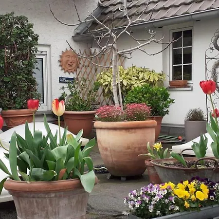 Krieger Bad Neuenahr-Ahrweiler