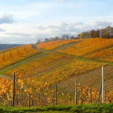 Διαμέρισμα Krieger Bad Neuenahr-Ahrweiler