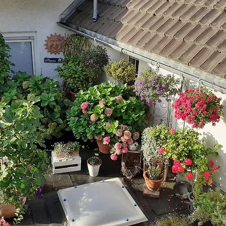 Krieger * Bad Neuenahr-Ahrweiler