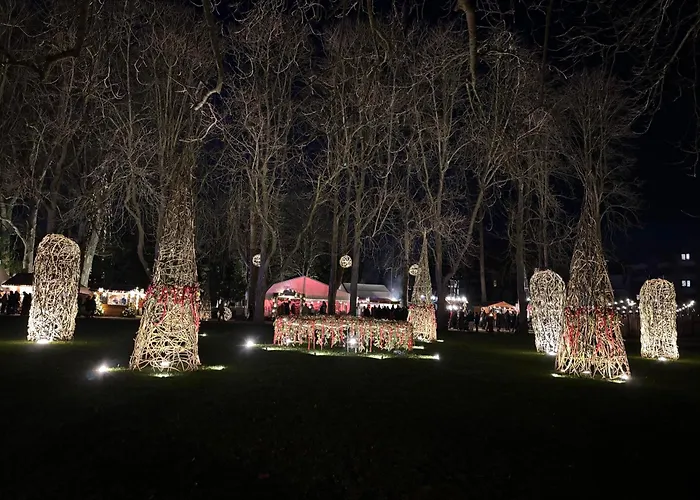 Krieger Bad Neuenahr-Ahrweiler