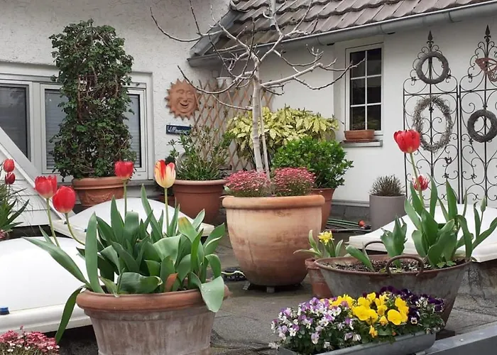 Krieger Bad Neuenahr-Ahrweiler