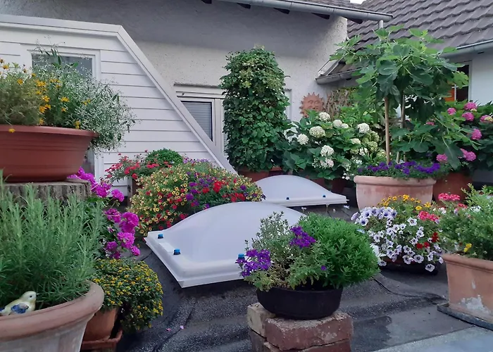 Krieger * Bad Neuenahr-Ahrweiler