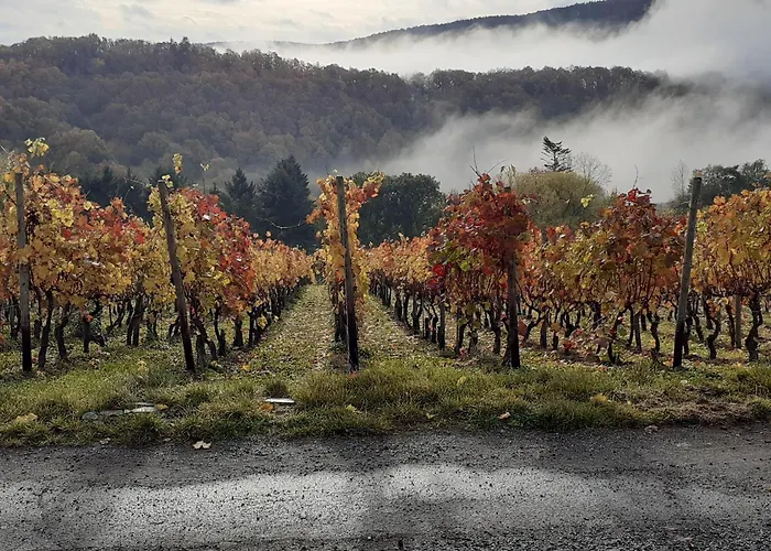 Krieger Apartamento *