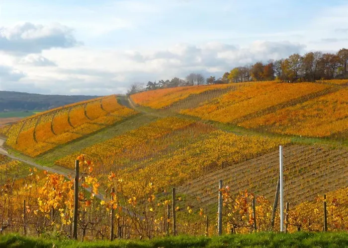 Apartamento Krieger Bad Neuenahr-Ahrweiler