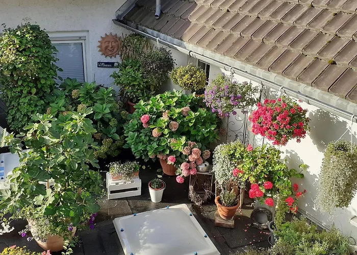 Krieger * Bad Neuenahr-Ahrweiler